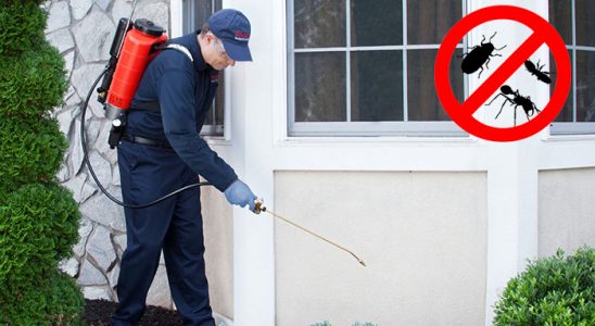 Kandıra Akrep İlaçlama böcek ilaçlama ve haşere kontrolü — ilaclama-tr.com